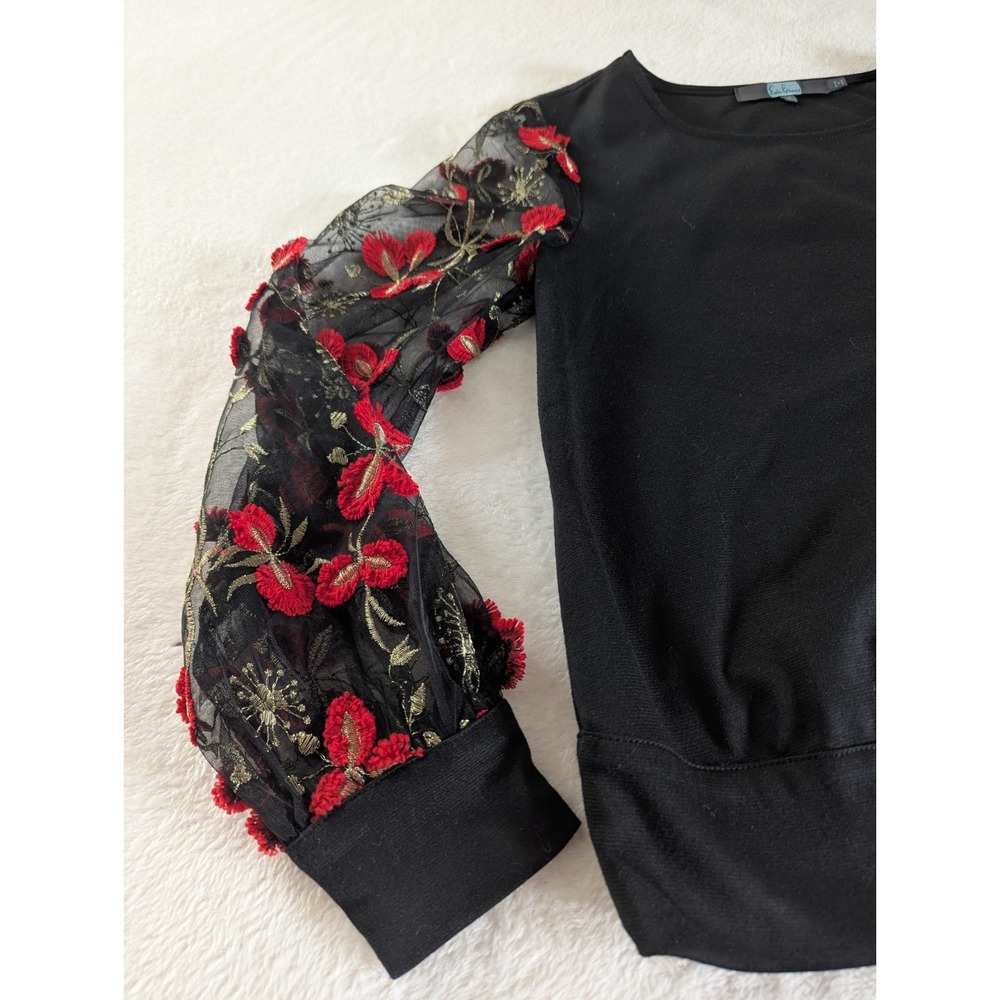 Eva Franco Sheer Floral Embroidered Sleeve Top Women's Size M Whimsigoth Fairy - Picture 3 of 8